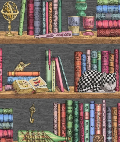 Cole&amp;Son Fornasetti Senza Tempo Libreria 114/13025