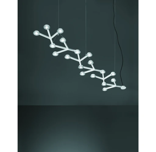 Led Net 