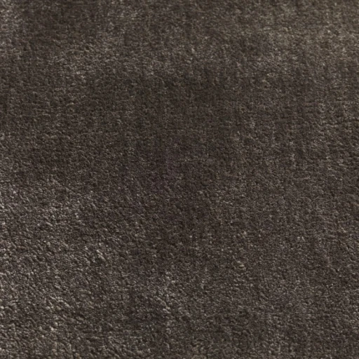 Jacaranda Simla Steel Grey
