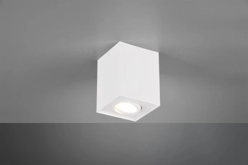 BISCUIT 613000131