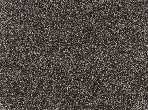 Epic Carpets Eternal 410 Leather