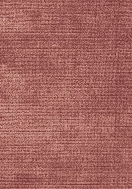 Ridex Antique 817