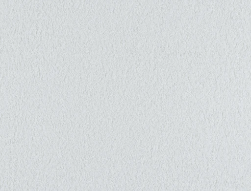 Ridex Arctic 06