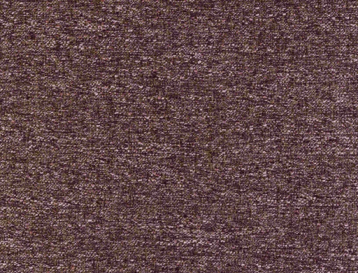 Ridex Igapo 03