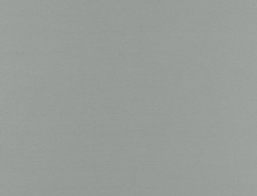 Ridex Basic Glaze 06