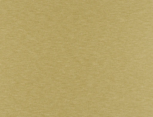 Ridex Brass 19