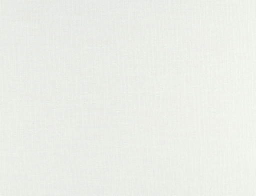 Ridex Discovery 10