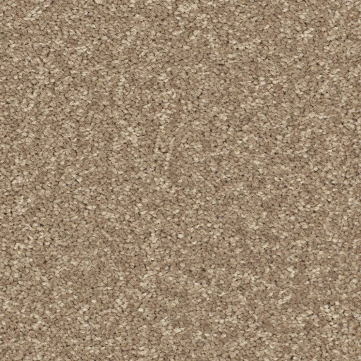 Epic Carpets Calmi 260 Camel