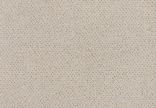 Epic Carpets Drops 252 Magnolia 2