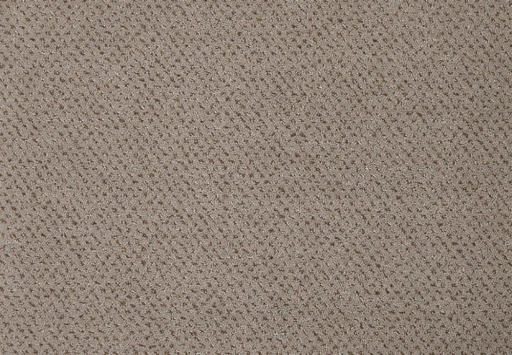 Epic Carpets Drops 262 Camel 2