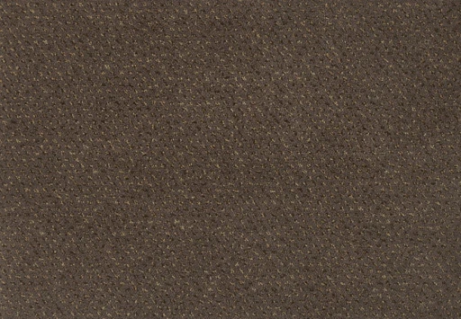 Epic Carpets Drops 282 Havanna 2