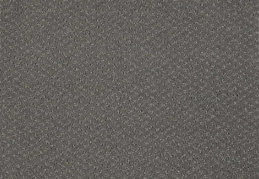 Epic Carpets Muld 840 Moonshine